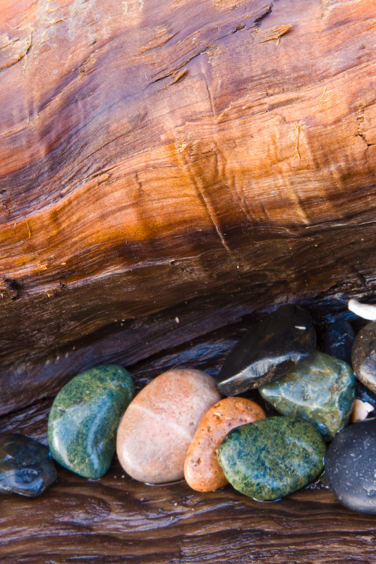 Pebbles On Driftwood